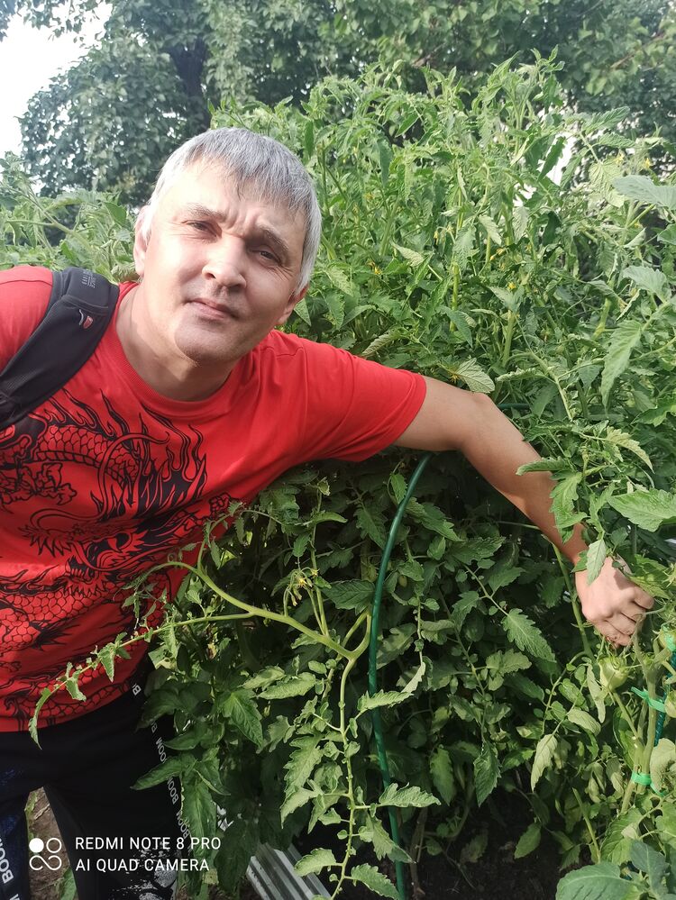 ���� 55013198 ������� ������, 47 ���, ���� ���������� � ��������