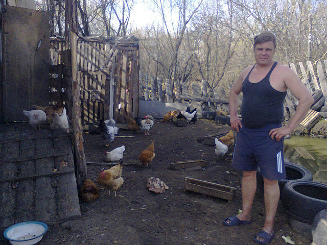 ���� 5210498 ������� �������, 50 ���, ���� ���������� � ��������