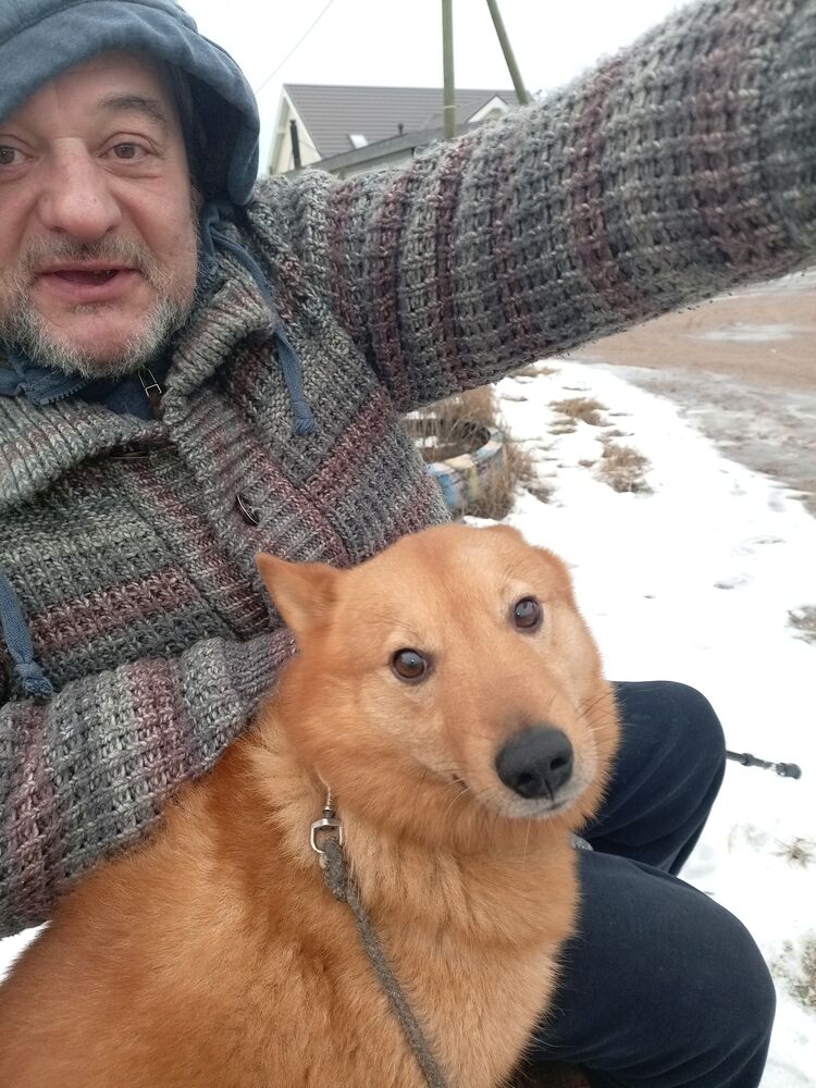 ���� 48586308 ������� ������, 60 ���, ���� ���������� � �������� ����