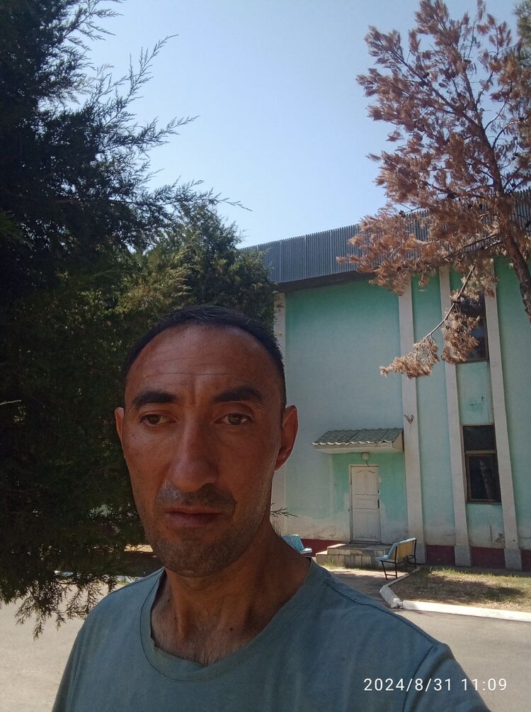  46423498  , 42 ,    