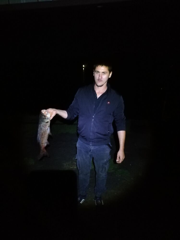 ���� 24068008 ������� ���������, 33 ����, ���� ���������� � ����������