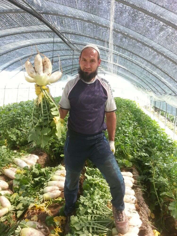  ,   Gaziz, 48 ,   ,   , c 