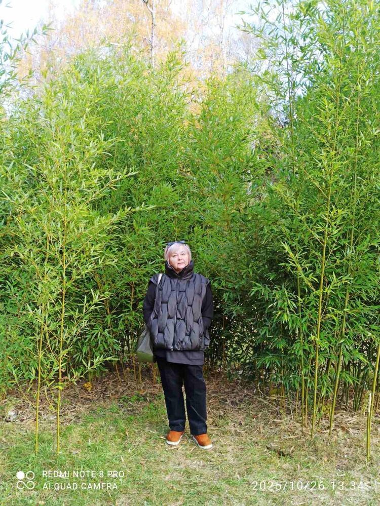 ���������� ����, ���� ������� Tanya, 60 ���, ������������ ��� ������, ����� � ���������