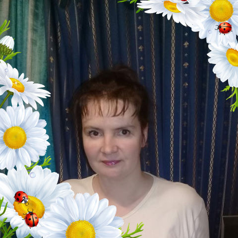 ���� 54829249 ������� �������, 50 ���, ���� ���������� � ������������