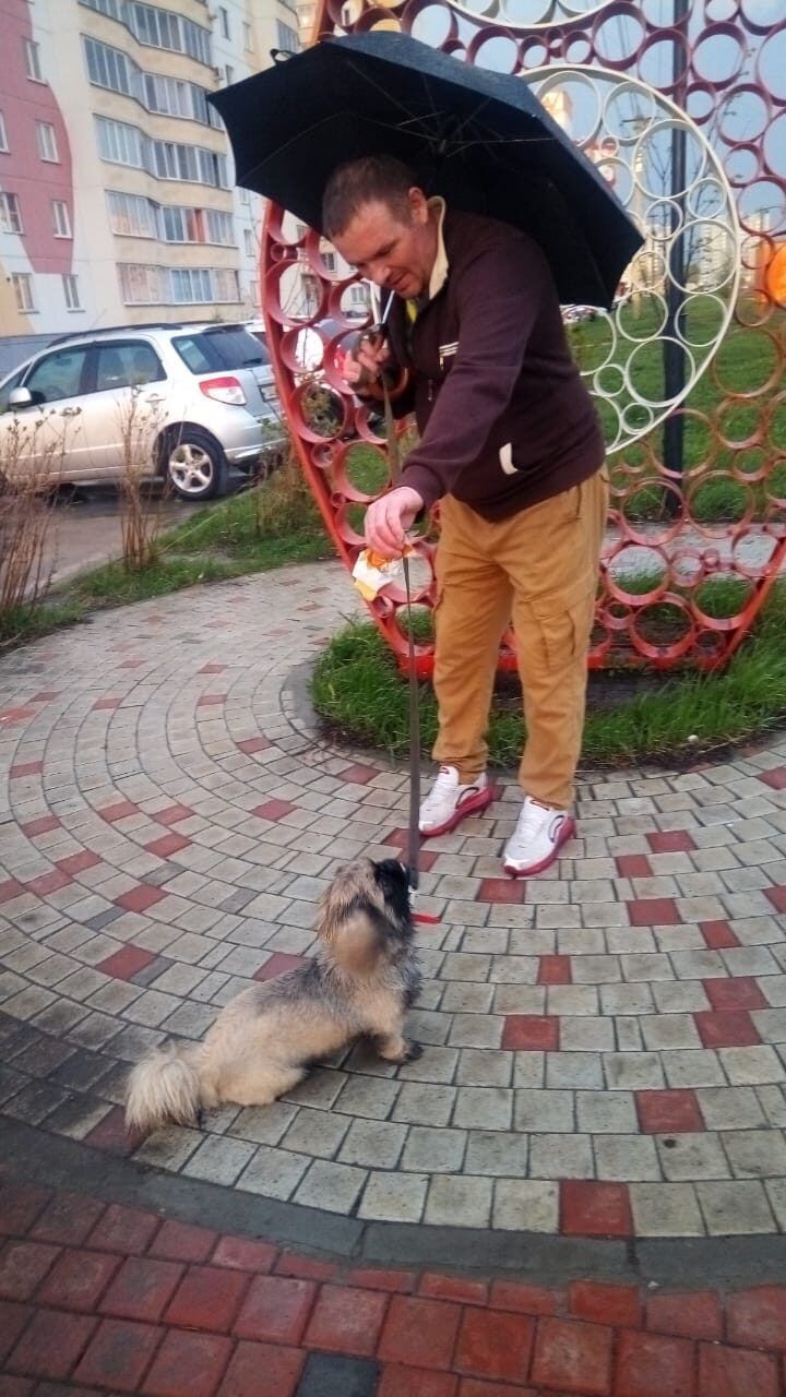 ���� 25788048 ������� �����, 45 ���, ���� ���������� � ������������