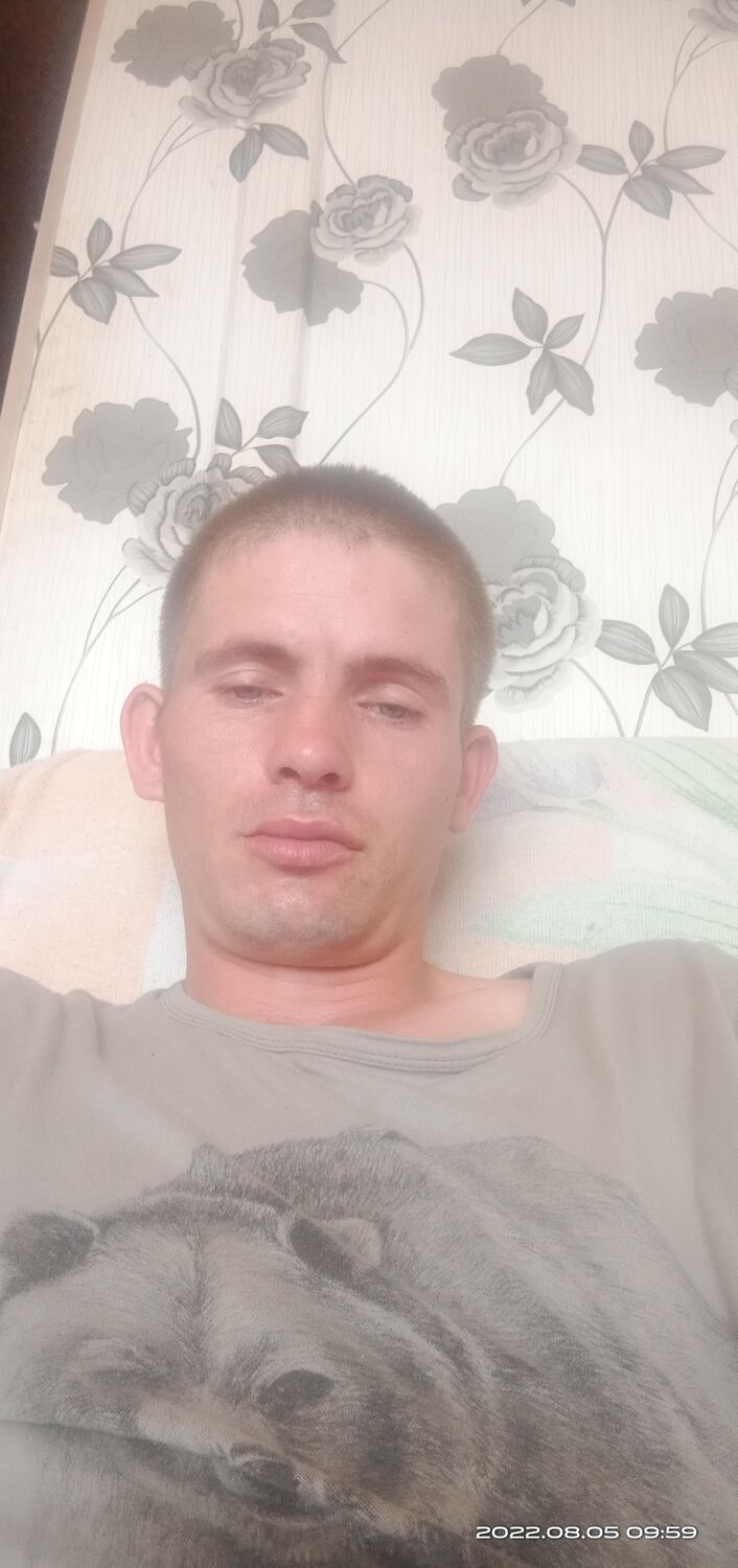  28283328  , 31 ,    