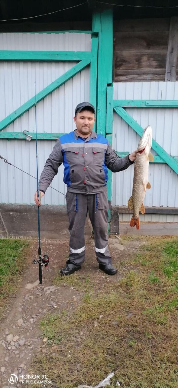 ���������� �����, ���� ������� �����, 43 ����, ������������ ��� ������, ����� � ���������, c�������� ���������