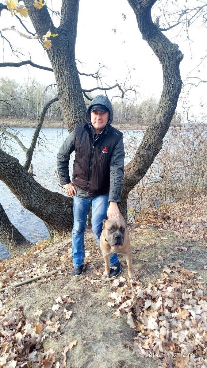 ���� 22084298 ������� ���������, 44 ����, ���� ���������� � ���������