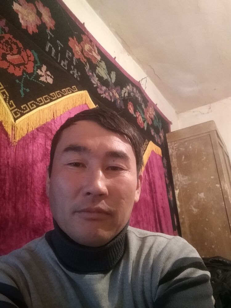 ���� 19945968 ������� ������, 44 ����, ���� ���������� � �������