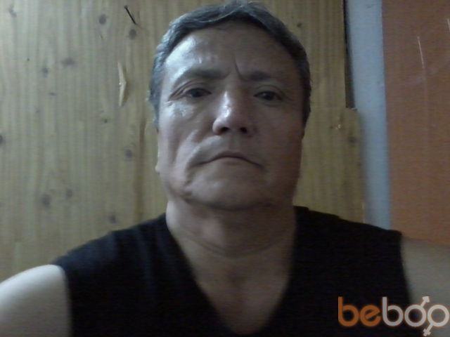  ,   Zolotoi, 56 ,     , c , 
