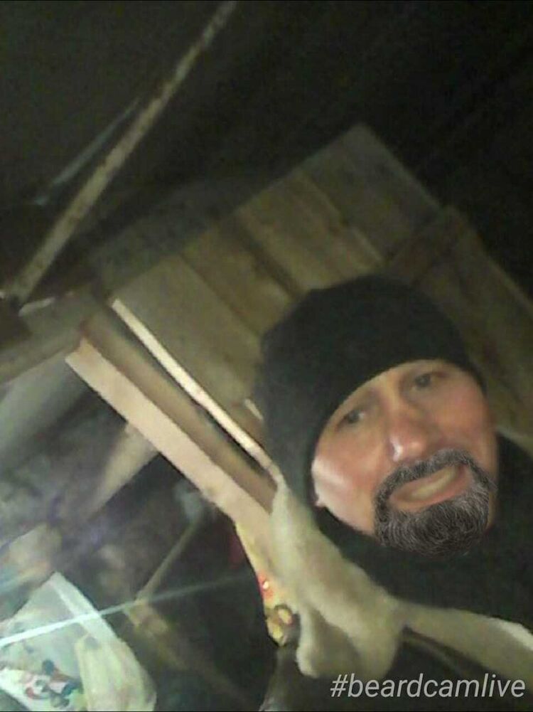 ���������� ������, ���� ������� ������, 53 ����, ������������ ��� ����� � ���������