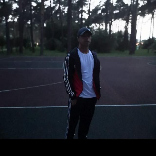  33929388  , 37 ,    