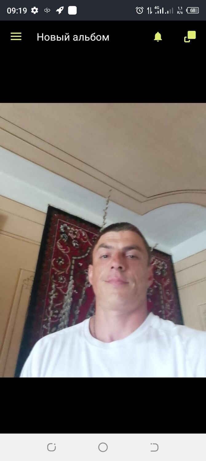  43959548  , 43 ,    