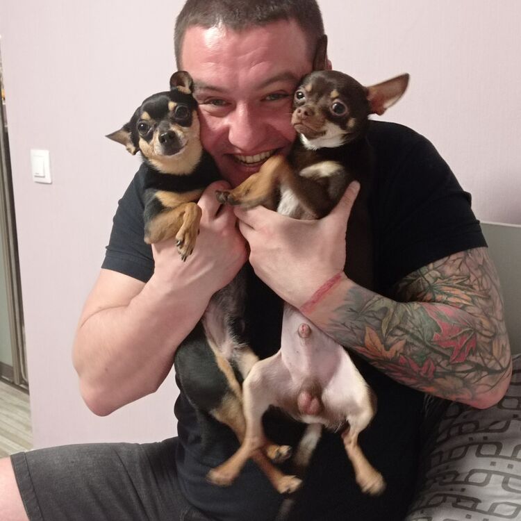 ���� 26631138 ������� �����, 39 ���, ���� ���������� � ����