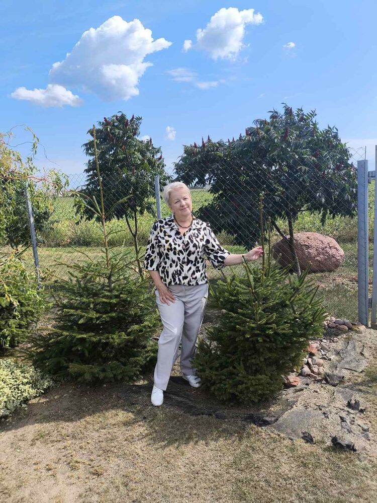 ���������� ����������, ���� ������� ������, 66 ���, ������������ ��� ����� � ���������, c�������� ���������