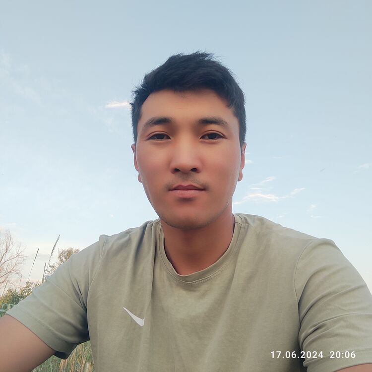  45065198  , 31 ,    