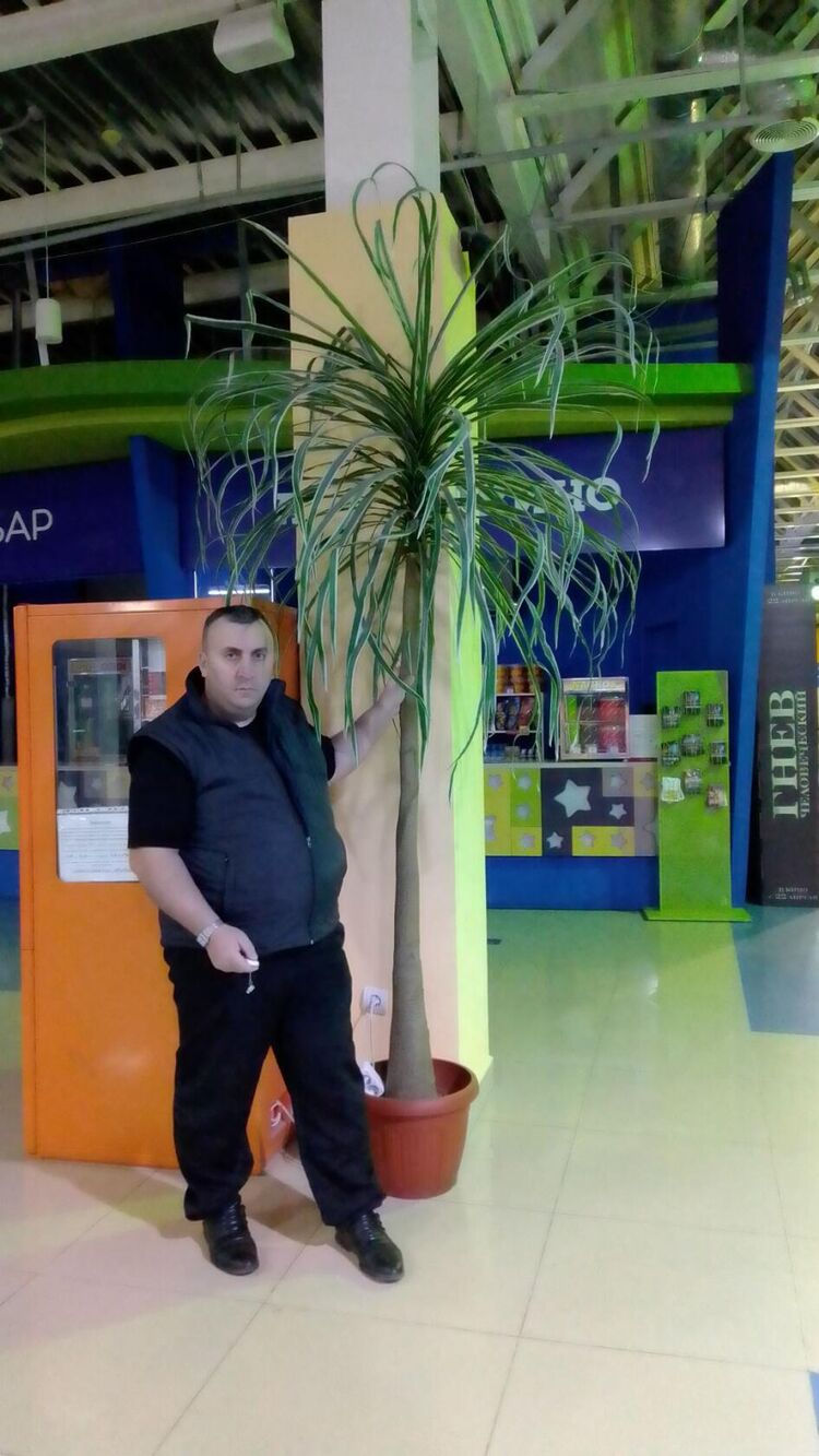 ���� 24974788 ������� ���������, 50 ���, ���� ���������� � ������