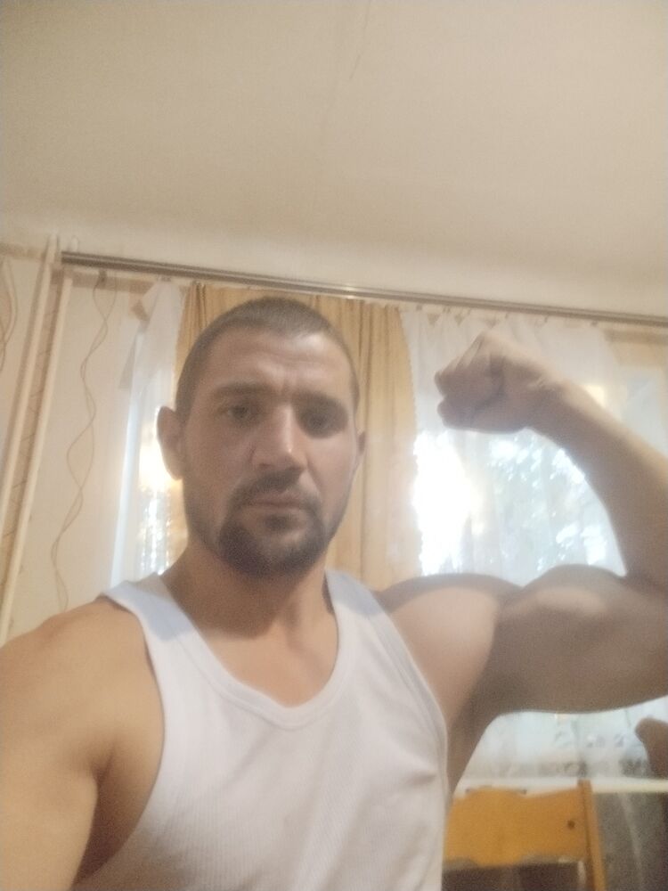  47493988  , 33 ,    