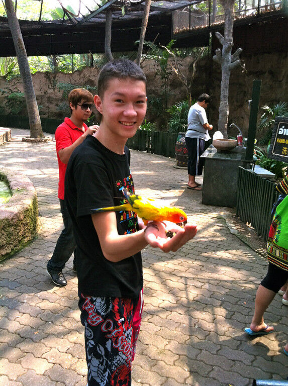  5001028  SaweR, 30 ,    