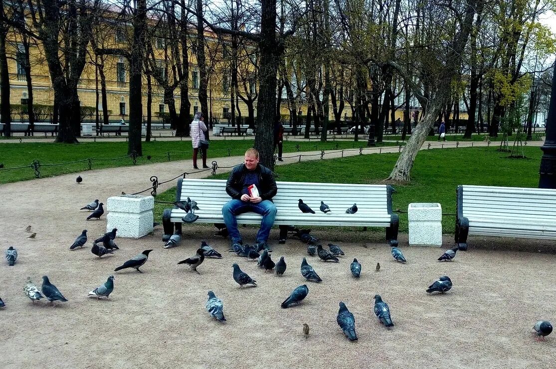 ,   Pavel, 34 ,   ,   , c , 