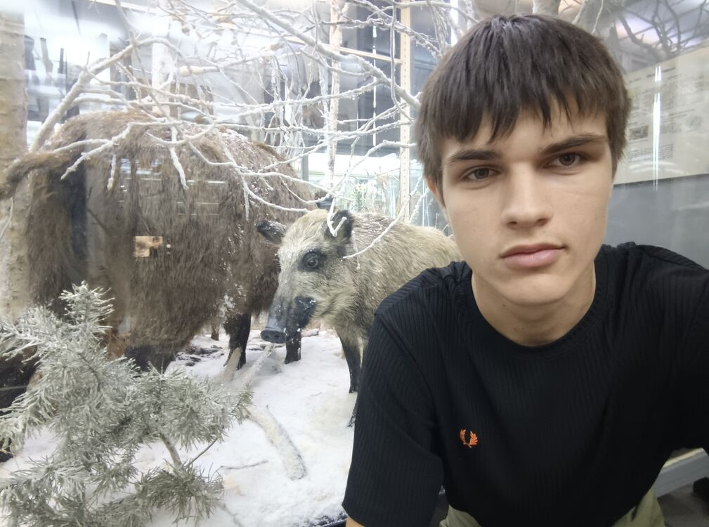 ���� 56161898 ����� �����, 18 ���, ���� ���������� � �������