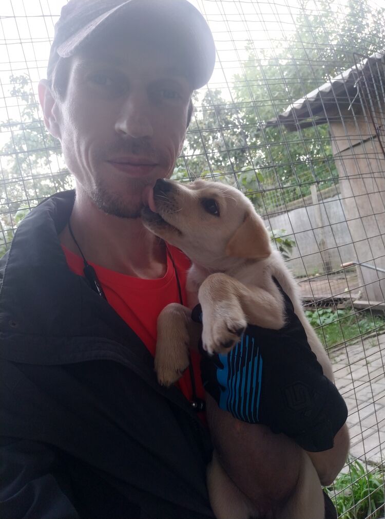 ���������� ������, ���� ������� �����, 37 ���, ������������ ��� ������, ����� � ���������, c�������� ���������, ���������