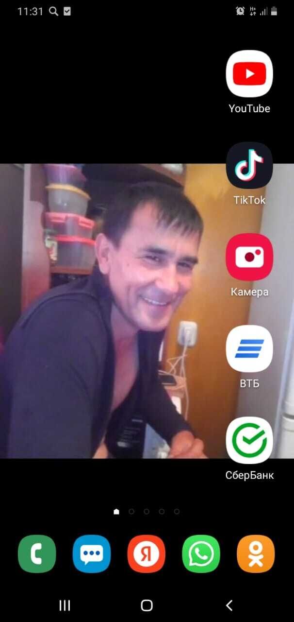  43424328  , 49 ,    