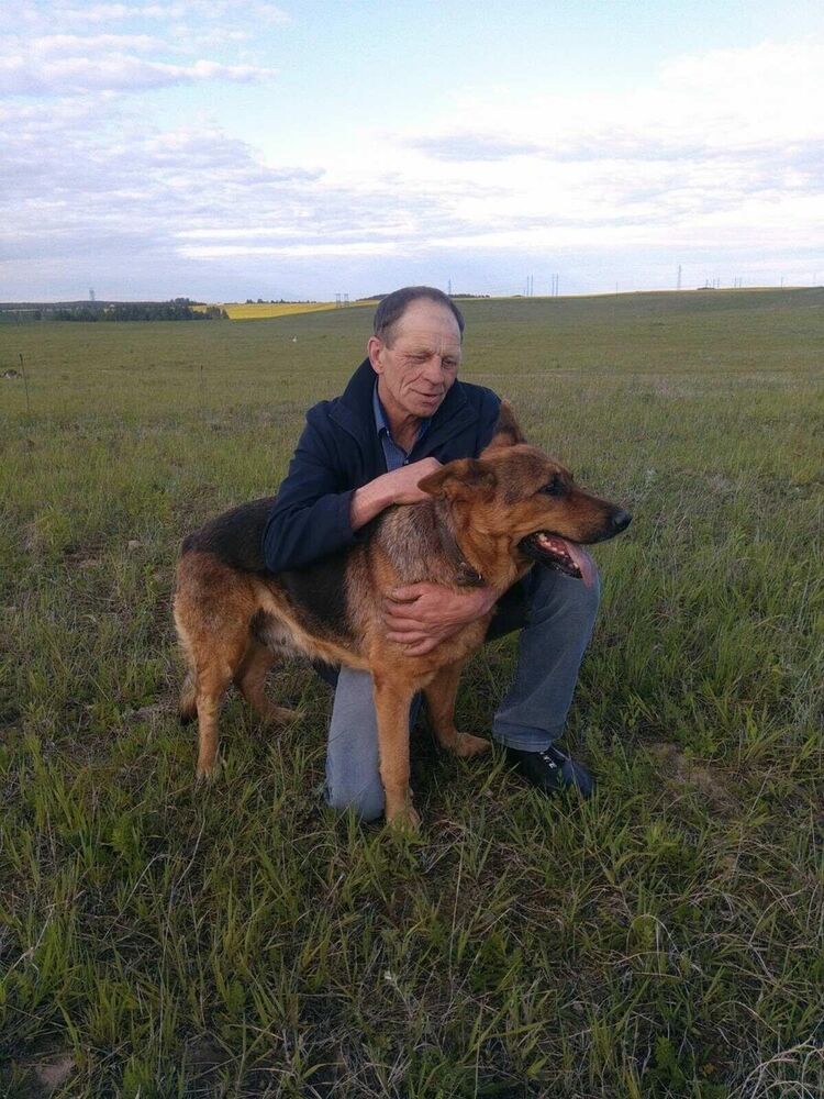 ���������� �����, ���� ������� ������, 61 ���, ������������ ��� c�������� ���������, ���������