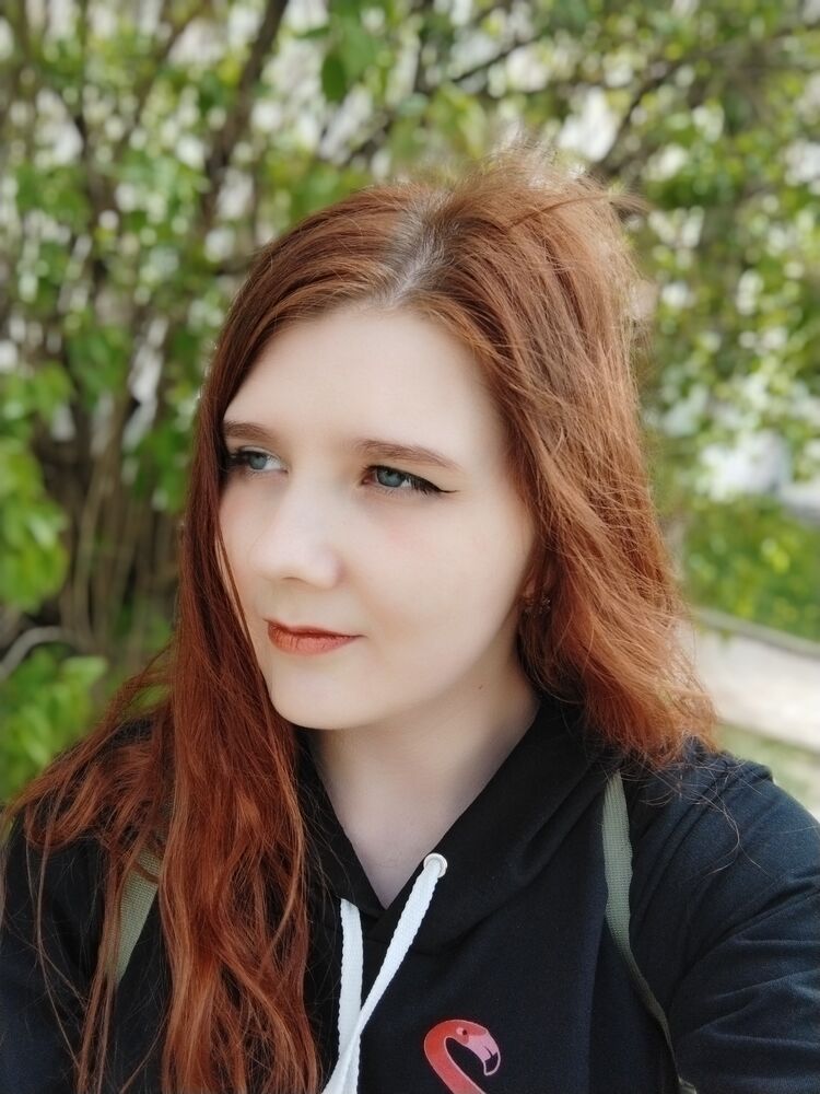  26808128  , 23 ,    -