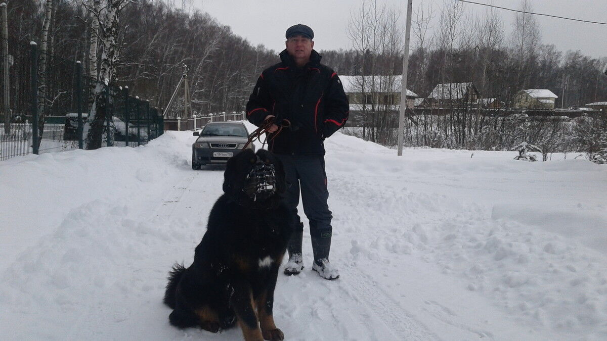  10290808  Leonid, 61 ,    