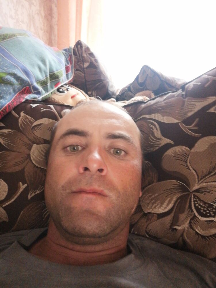  23371268  , 39 ,    