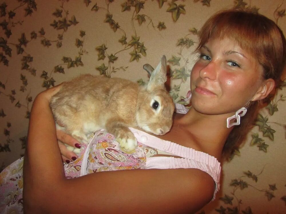  44671728  , 35 ,    -