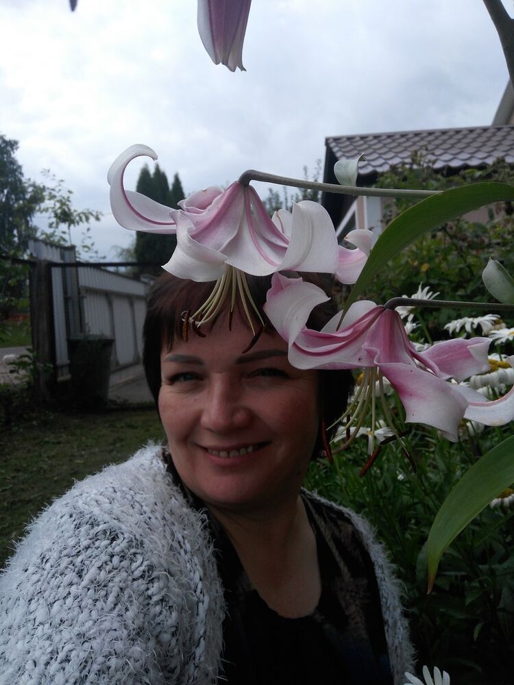  ,   , 46 ,   