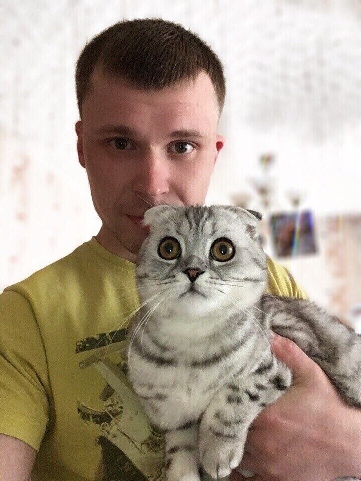 ���������� �������, ���� ������� ������, 31 ���, ������������ ��� ������, ����� � ���������, c�������� ���������, ���������