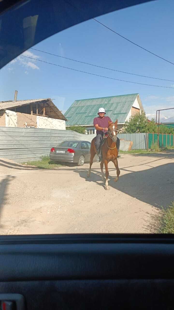  32205508  , 39 ,    