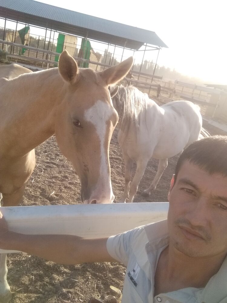 ���� 22980948 ������� �����, 34 ����, ���� ���������� � ������