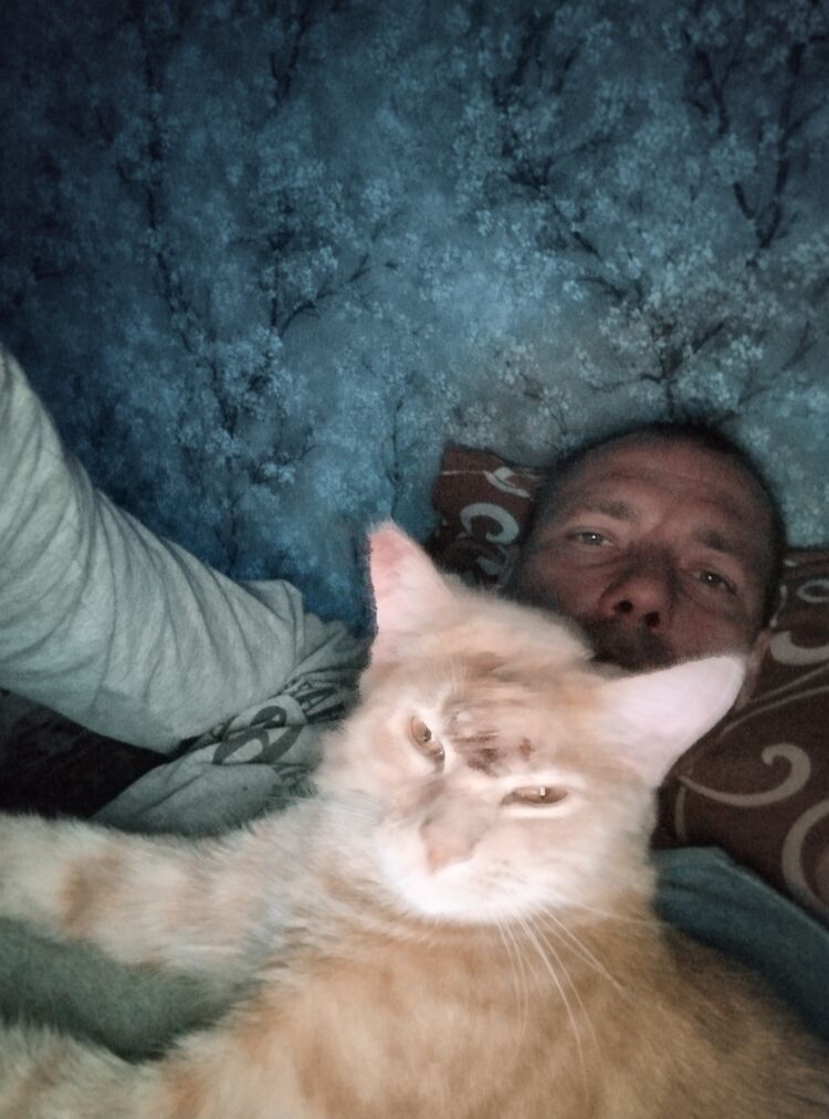  ,   , 44 ,   ,   