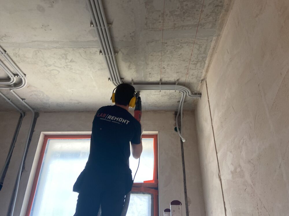  28988758  , 25 ,    -