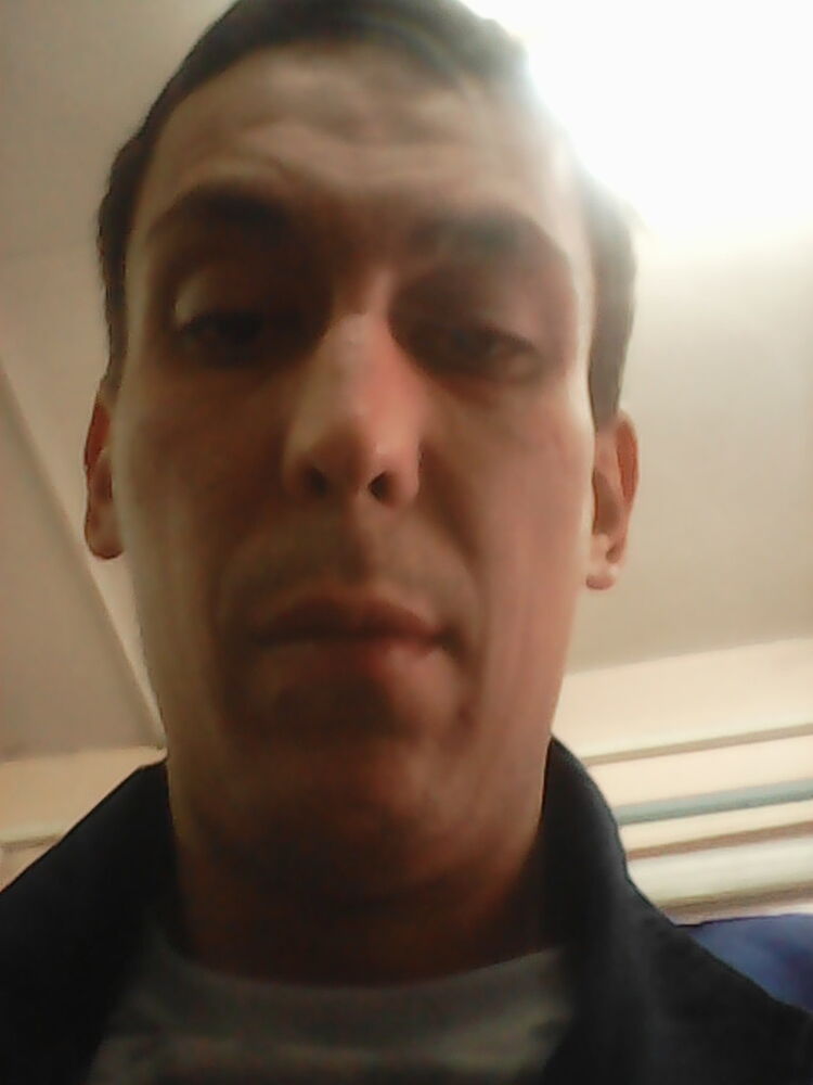  13561038  , 41 ,    