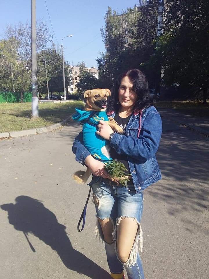 ���������� ������ ���, ���� ������� ���, 42 ����, ������������ ��� ������, ����� � ���������