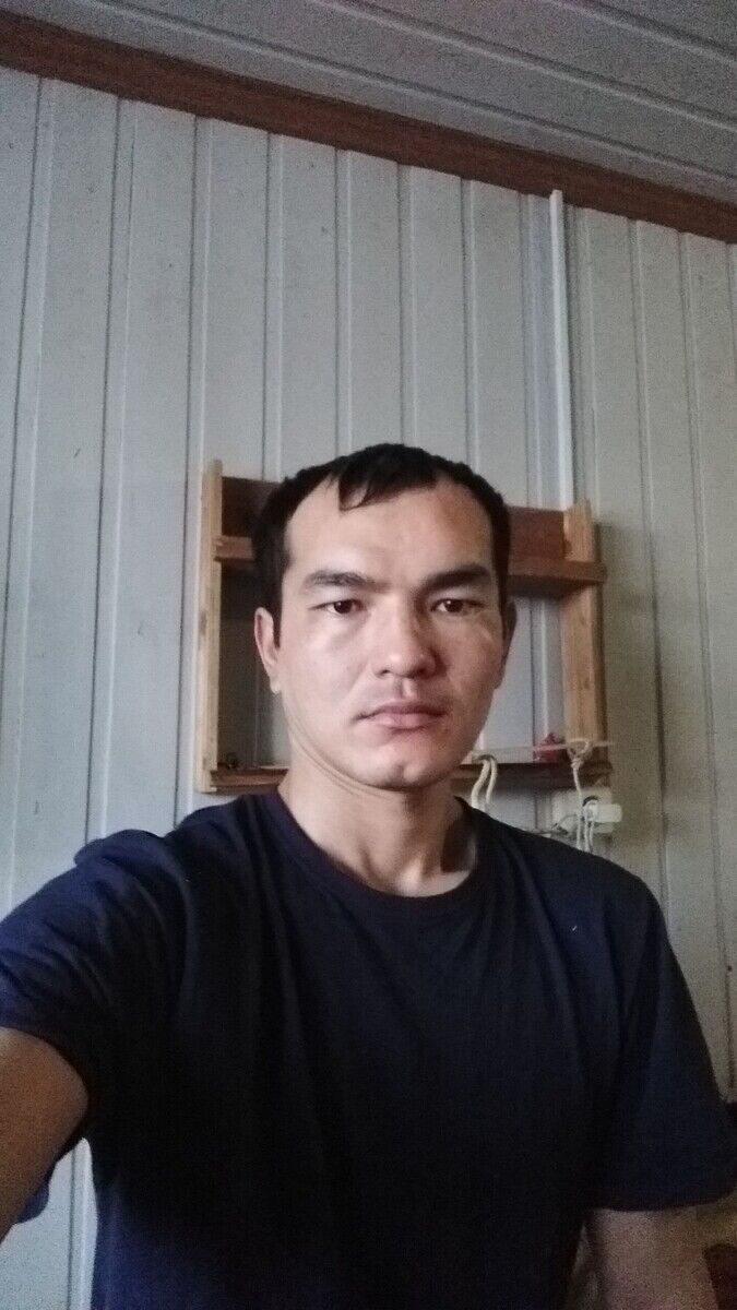 22336048  , 31 ,    