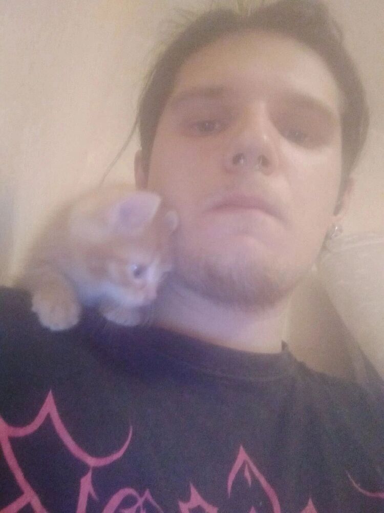 ���� 38718958 ����� ������, 24 ����, ���� ���������� � �����������