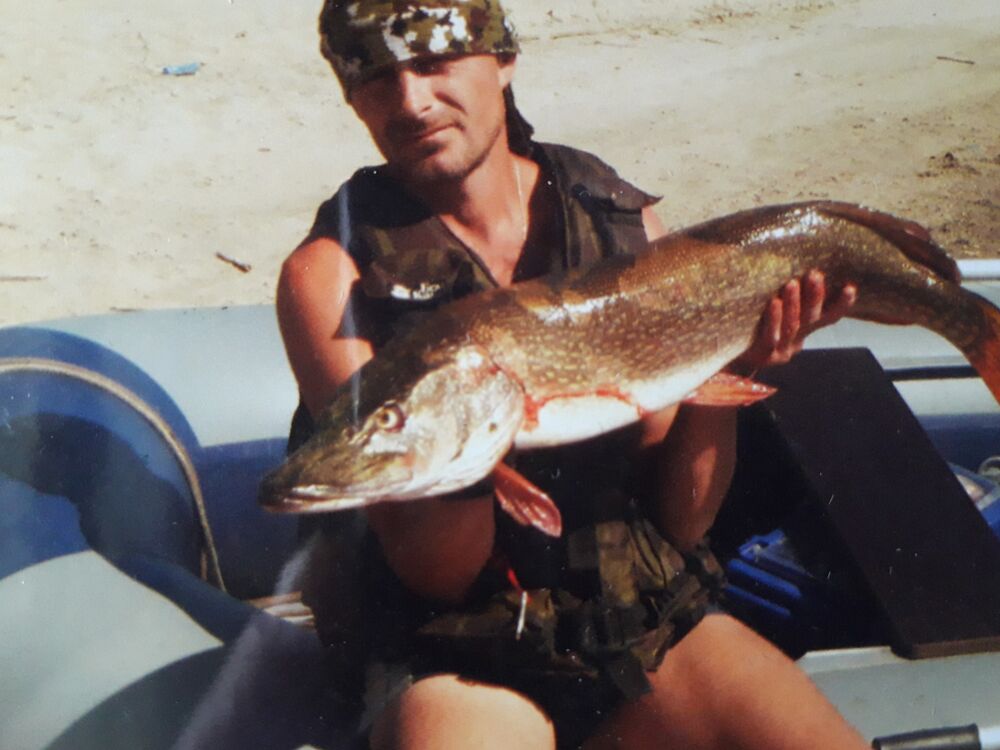 ���� 22722938 ������� �������, 38 ���, ���� ���������� � ��������