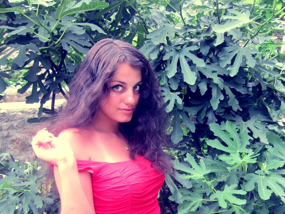 ���������� ����, ���� ������� �������, 33 ����, ������������ ��� ������, ����� � ���������, c�������� ���������