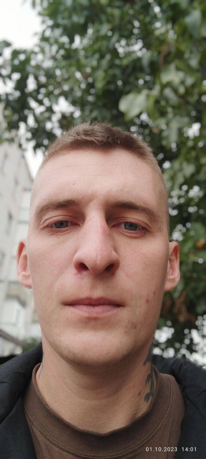  45031568  , 29 ,     