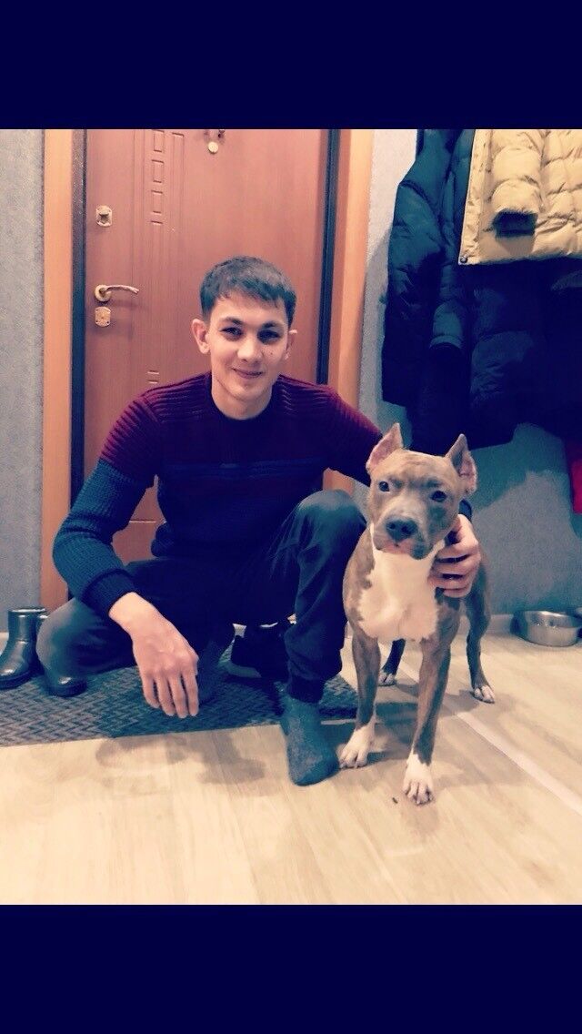 ���� 15154438 ������� �������, 33 ����, ���� ���������� � ����������