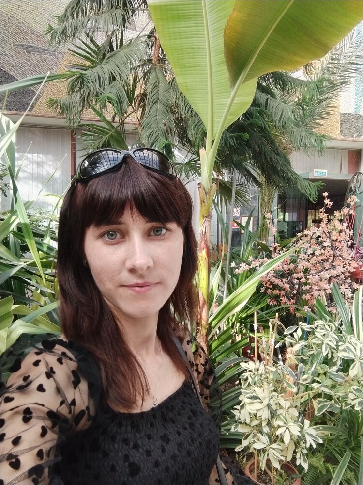 ���������� ���������, ���� ������� ��������, 28 ���, ������������ 