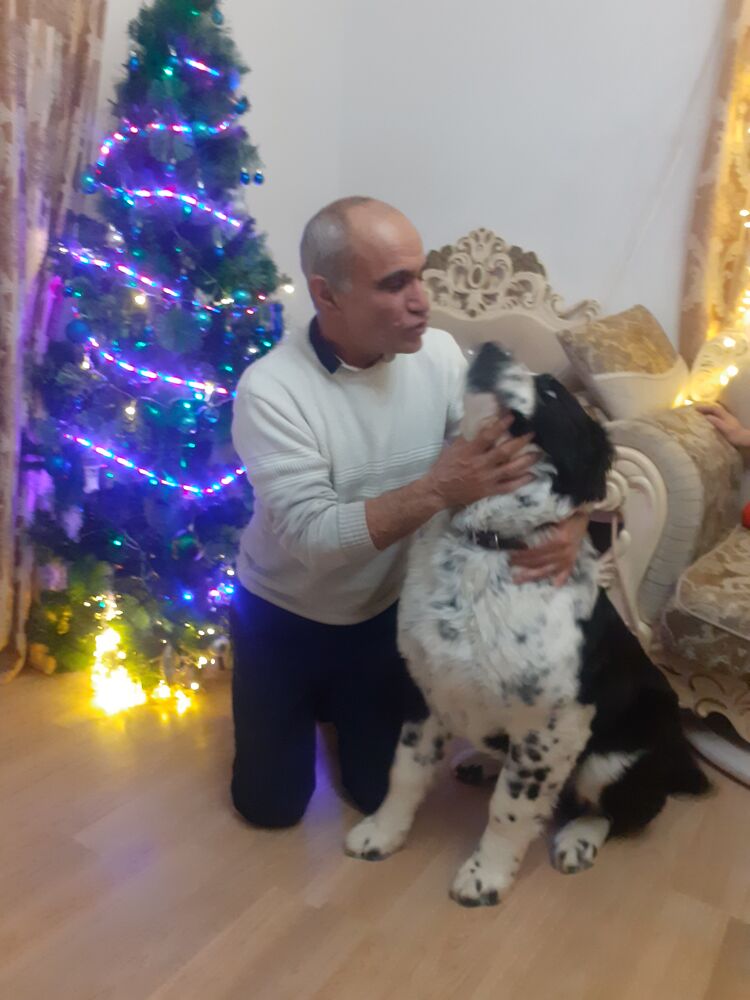  ,   , 61 ,   c 