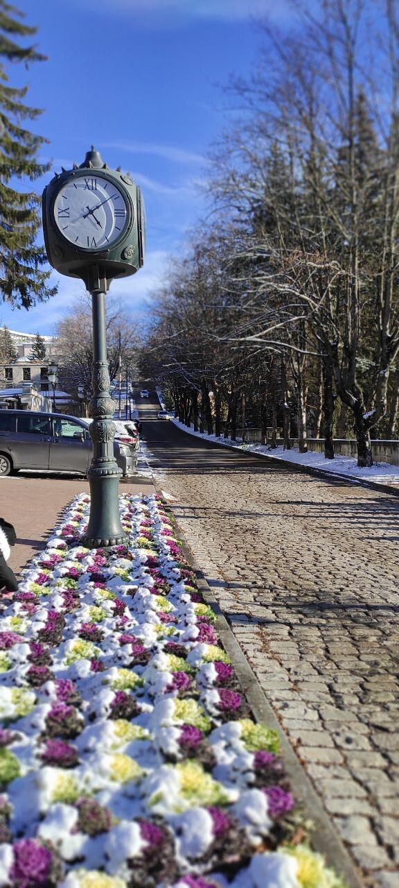 ���� 55283978 ������� ����, 48 ���, ���� ���������� � �����������