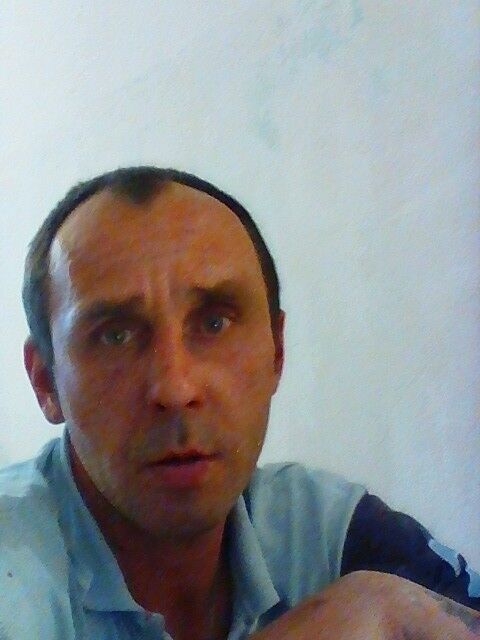  9553038  Fox, 42 ,     